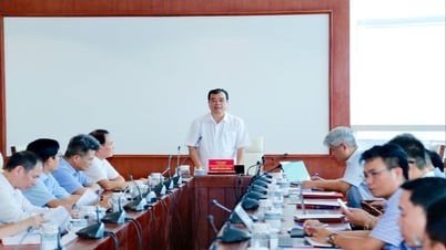 Đầu tư nguồn lực xây dựng Hải Phòng trở thành trung tâm y tế vùng Duyên hải Bắc Bộ