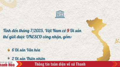 9 Di sản Thế giới ở Việt Nam được UNESCO vinh danh