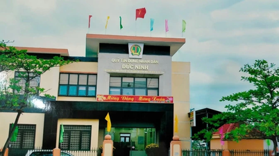 Công bố Thông tin chấp thuận thay đổi địa chỉ đặt trụ sở phòng giao dịch Quỹ tín dụng nhân dân Đức Ninh