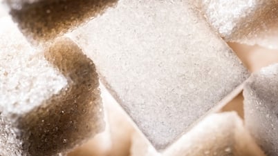 Tạo ra đường ăn từ CO₂, không cần mía hay củ cải đường