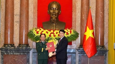 Chủ tịch nước trao Quyết định thăng quân hàm; cấp bậc hàm...