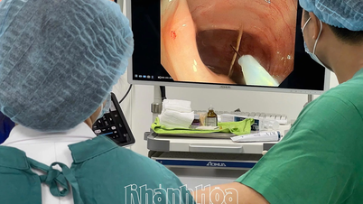 Bệnh viện 22-12: Can thiệp nội soi gắp thành công 3 chiếc xương dài trong đại tràng bệnh nhân