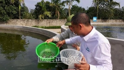 Hình thành chuỗi liên kết để phát triển hợp tác xã bền vững
