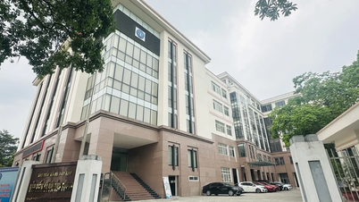 Đổi tên cơ quan BHXH cấp khu vực thành BHXH cấp tỉnh, thành phố trực thuộc Trung ương