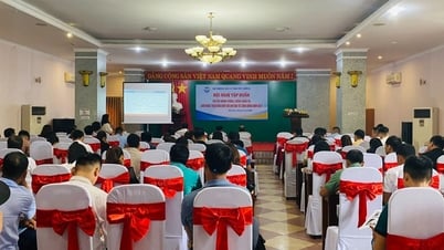 Tập huấn về phòng, chống mua bán người và biến đổi khí hậu