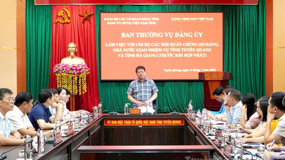 Đảng ủy MTTQ Việt Nam tỉnh làm việc với Chi bộ các hội quần chúng trước khi hợp nhất