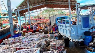 Ngư dân Đề Gi đoàn kết giữ vững chủ quyền biển, đảo