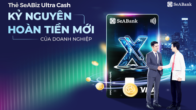 بطاقة SeABiz Ultra Cash من SeABank: "فوائد مزدوجة" للشركات