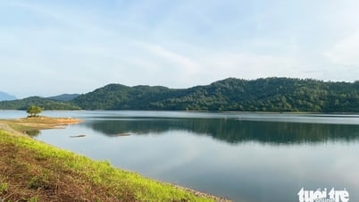 Mê mẩn hồ Phú Ninh mùa nước cạn, du khách đổ về check-in cây cô đơn