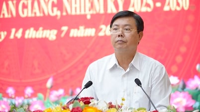 Thảo luận 10 nhóm vấn đề trọng tâm định hướng phát triển kinh tế - xã hội tỉnh An Giang