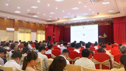 Hội nghị tập huấn công tác tuyên truyền về biển, đảo và Đề án phát triển văn hóa đọc trong cộng đồng