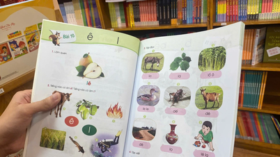 SGK Cánh Diều có nội dung phong phú và hình ảnh bắt mắt