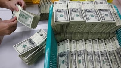 Giá ngoại tệ ngày 14/7/2025: USD đi ngang, Index dừng ở mức 97,87 điểm