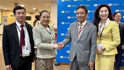 UNESCO chính thức phê duyệt Di sản Thế giới liên biên giới đầu tiên giữa Việt Nam và Lào