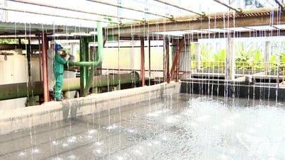 Mỗi sáng kiến, mỗi bước tiến