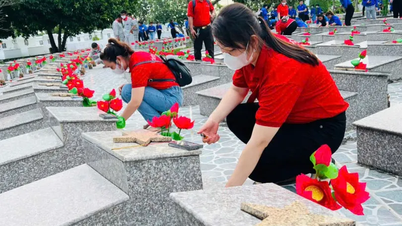 Viettel Cần Thơ tổ chức thay hoa Nghĩa trang tri ân anh hùng liệt sĩ
