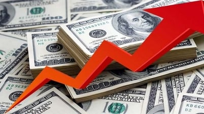 Tỷ giá USD hôm nay (14-7): Đồng USD tiếp tục duy trì đà...