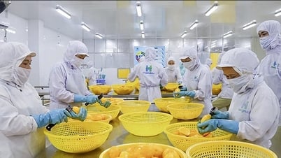 Xuất khẩu rau, quả năm 2025: Liệu có “cán đích” 8 tỷ USD?