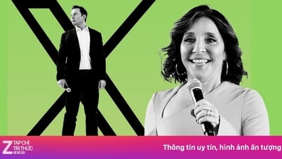 Cuộc chiến dang dở của người 'cưỡi hổ' Elon Musk