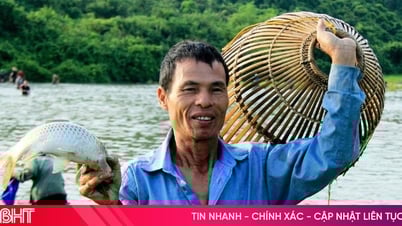 Podcast: Tản văn - Nhớ mùa cá cạn