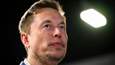 Đế chế của tỷ phú Elon Musk gặp hoạ do chính ông gây ra