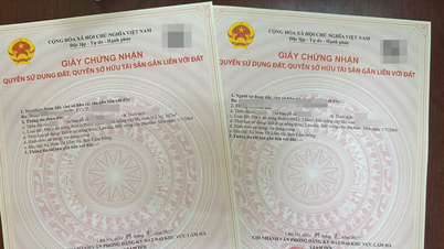 Lâm Đồng: Làm việc ngày cuối tuần để giải quyết hồ sơ đất cho người dân