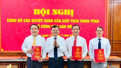 Gia Lai: Bổ nhiệm 4 Phó Trưởng Ban Quản lý Khu kinh tế tỉnh