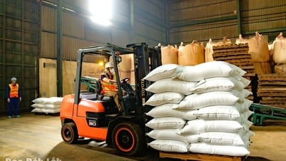 Đắk Lắk có một doanh nghiệp được vinh danh trong hoạt động xuất khẩu