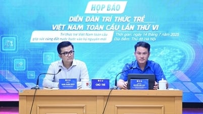 Nhiều nhà khoa học tham gia Diễn đàn Trí thứ trẻ Việt Nam toàn cầu