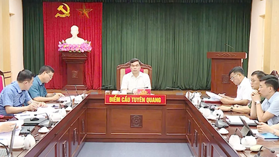 Tập huấn nghiệp vụ công tác kiểm tra, giám sát và thi hành kỷ luật của Đảng năm 2025