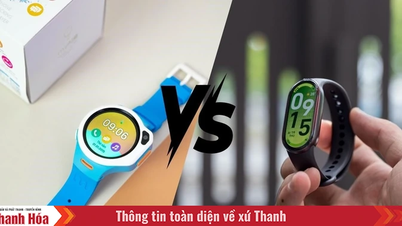 Vòng đeo tay thông minh và đồng hồ thông minh: Lựa chọn nào phù hợp với nhu cầu của bạn?