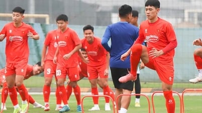 Cấu trúc bộ khung tuyển U23 Việt Nam