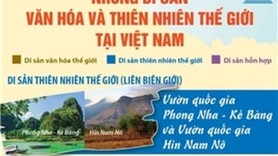Những Di sản văn hóa và thiên nhiên thế giới tại Việt Nam