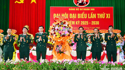 Đại hội đại biểu Đảng bộ Sư đoàn 309 (Quân khu 7) lần thứ XI nhiệm kỳ 2025-2030