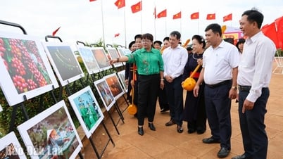 Khai mạc triển lãm ảnh nghệ thuật “Đắk Lắk - Hội tụ và phát triển”