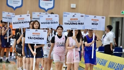 Khai mạc GMB League 2025: Sân chơi chuyên nghiệp đầu tiên cho HSSV yêu bóng rổ