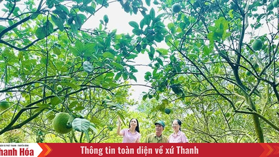 Kịp thời giải ngân nguồn vốn tín dụng ưu đãi cho hộ nghèo và các đối tượng chính sách