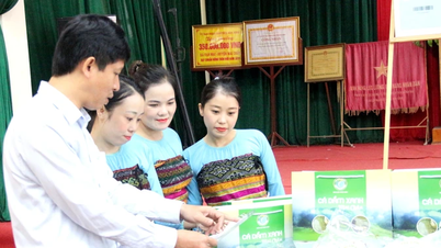 Cá dầm xanh xã Mai Hạ: sản vật từ núi “bơi” ra thị trường lớn