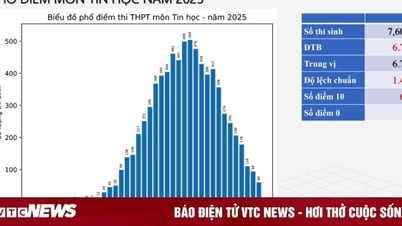 Phổ điểm môn Tin tốt nghiệp THPT 2025