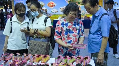 Nhóm hợp tác phát triển 8 tỉnh Tây Bắc mở rộng và TP Hồ Chí Minh: Các hoạt động chung đạt tiến độ và hiệu quả trong 6 tháng đầu năm