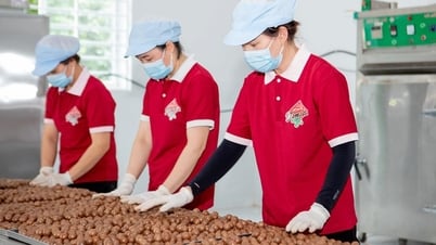 Quyết liệt hơn nữa trong thực hiện các chỉ tiêu kinh tế - xã hội