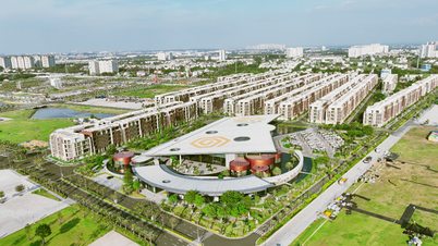 Kinh tế tư nhân vững vàng trong kỷ nguyên vươn mình