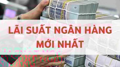 Lãi suất ngân hàng ngày 15/7/2025: Tăng nhẹ ở nhiều kỳ hạn, mức cao kỷ lục lên đến 9,65%/năm