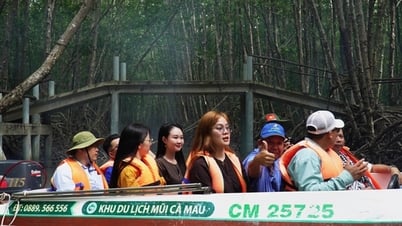 Du lịch Cà Mau đứng trước cơ hội bứt phá