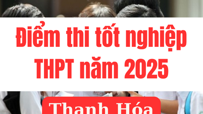 Điểm thi tốt nghiệp THPT 2025 tại Thanh Hóa: Link tra cứu chính xác nhất