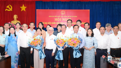Đoàn ĐBQH TPHCM tăng cường giám sát những việc cử tri và người dân quan tâm