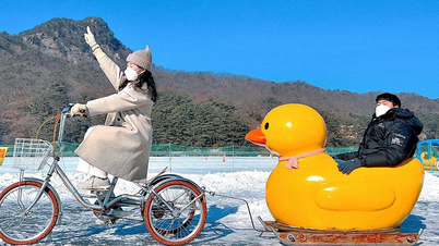 Top 4 lễ hội mùa đông ở Hàn Quốc được yêu thích nhất