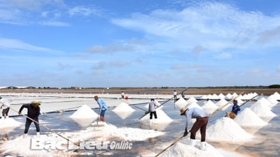 Huyện Đông Hải: Phát triển du lịch trở thành ngành kinh tế quan trọng