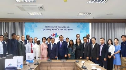 Promote tourism and cultural exchange through martial arts