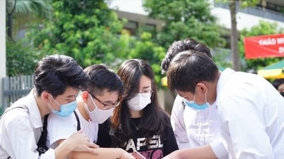 Phổ điểm thi tốt nghiệp THPT 2025 chính thức được Bộ Giáo dục công bố